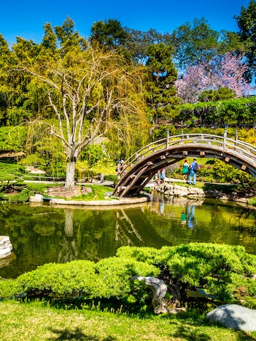 500px Photo ID: 77626027 - Japanese Garden at The Huntington Botanical Gardens and Library