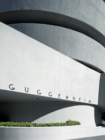 SolomonR. Guggenheim Museum, detailed view