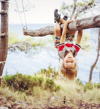 547959655
Exploration, Fun, Enjoyment, Carefree, Confidence
Boy hanging upside down on tree trunk