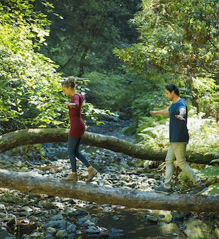 Hispanic couple balancing on log in forest