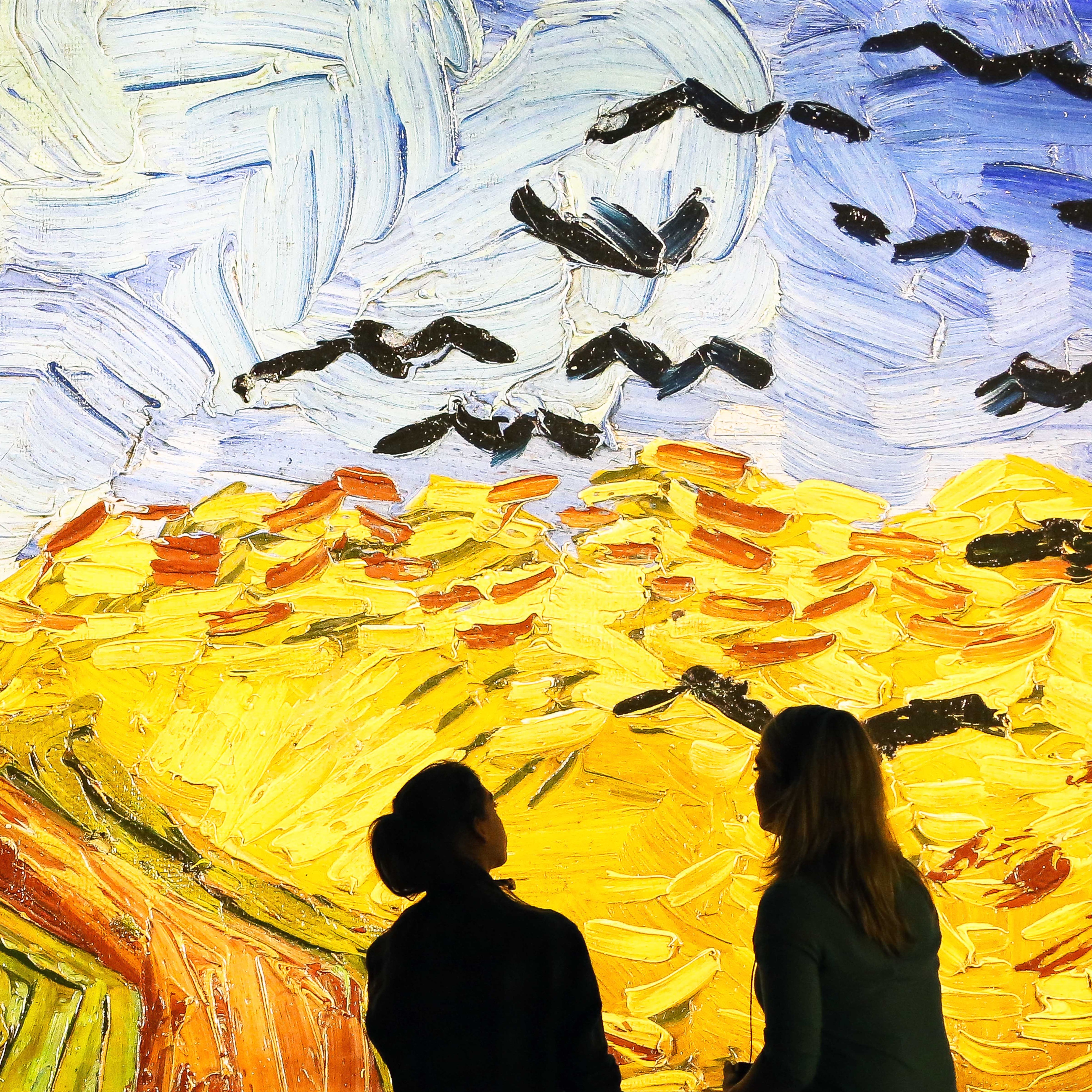 Installation view of Meet Vincent van Gogh