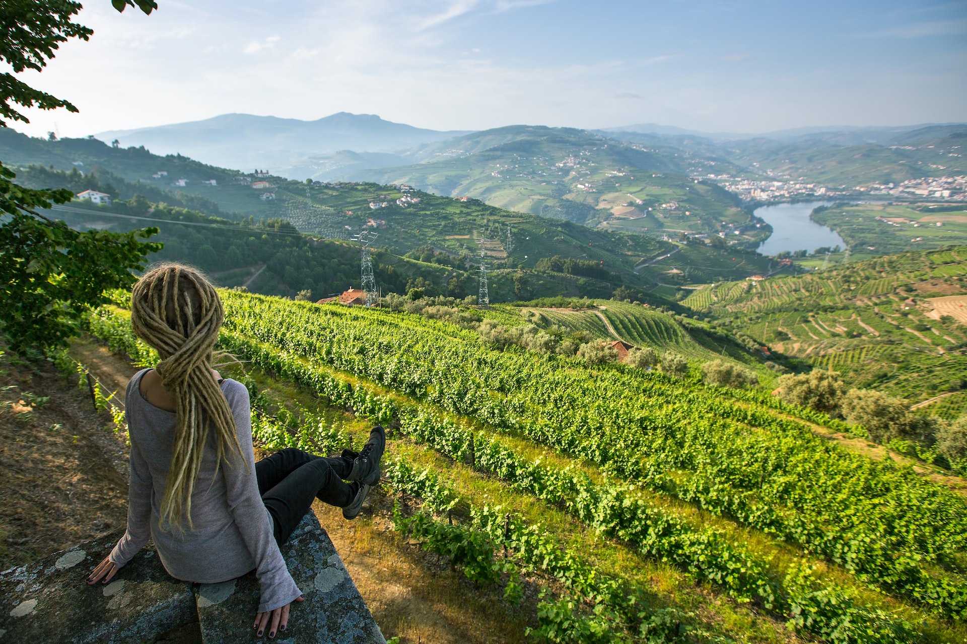 A woman sits on the edge of a vineyard looking out over rolling hills of vines